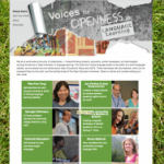 Voices website screenshot