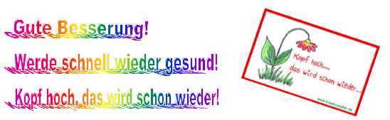 On the left text in rainbow colors says: 'Gute Besserung! Werde schnell wieder gesund! Kopf hoch, das wird schon wieder!' And on the right side the image shows a rectangular card with a red border a drooping red and yellow flower and text that says 'Kopf hoch... and underneath das wird schon wieder...'